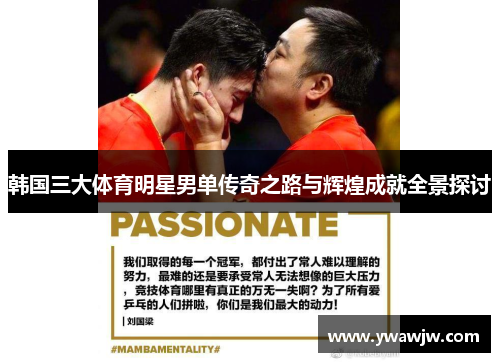 韩国三大体育明星男单传奇之路与辉煌成就全景探讨