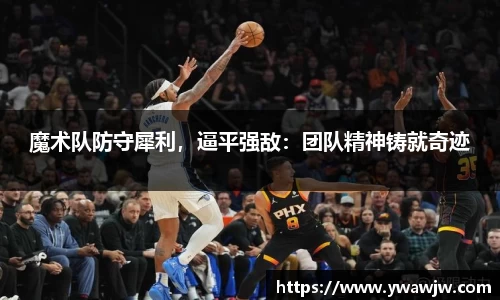 333体育平台