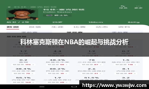 333体育平台