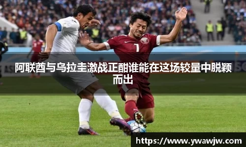 333体育官网