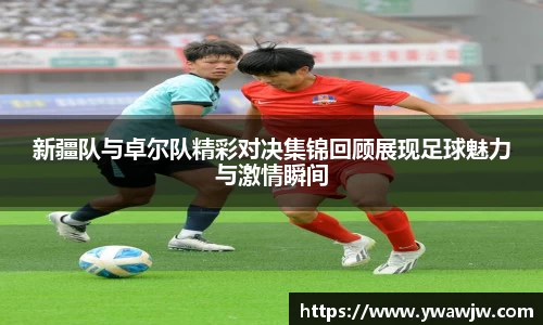 333体育官网
