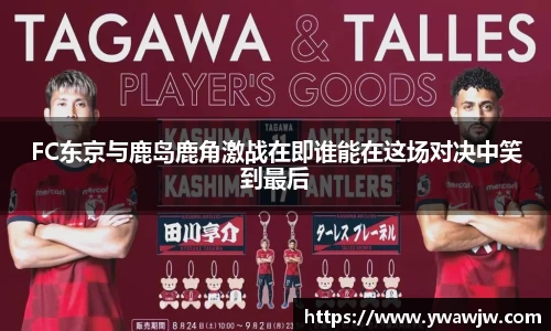 333体育官网