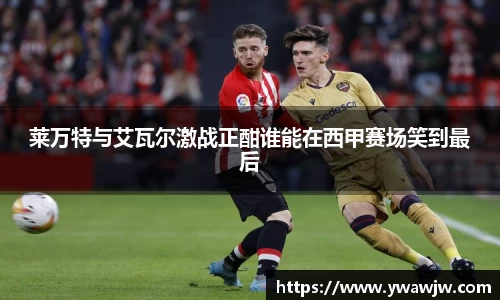 333体育平台