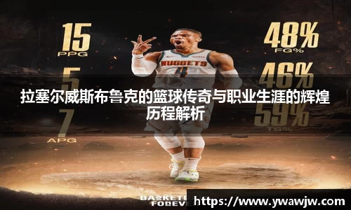 333体育官网