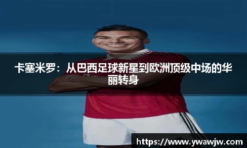 333体育平台