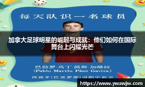 333体育官网