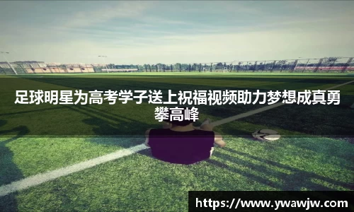 333体育官网