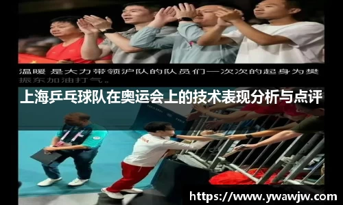 333体育