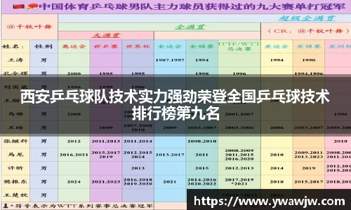 333体育官网