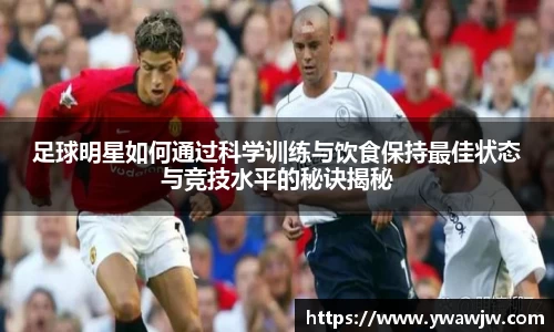 333体育官网